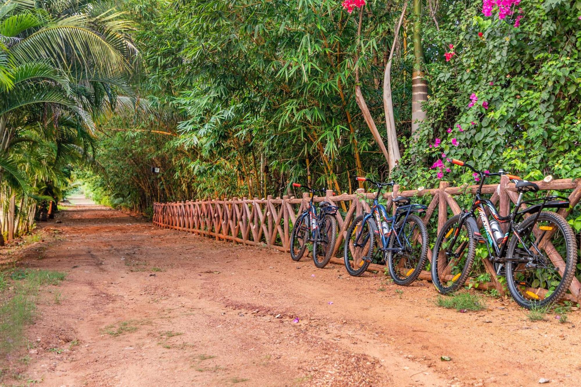 Hotel Sterling Banashree Badami Extérieur photo